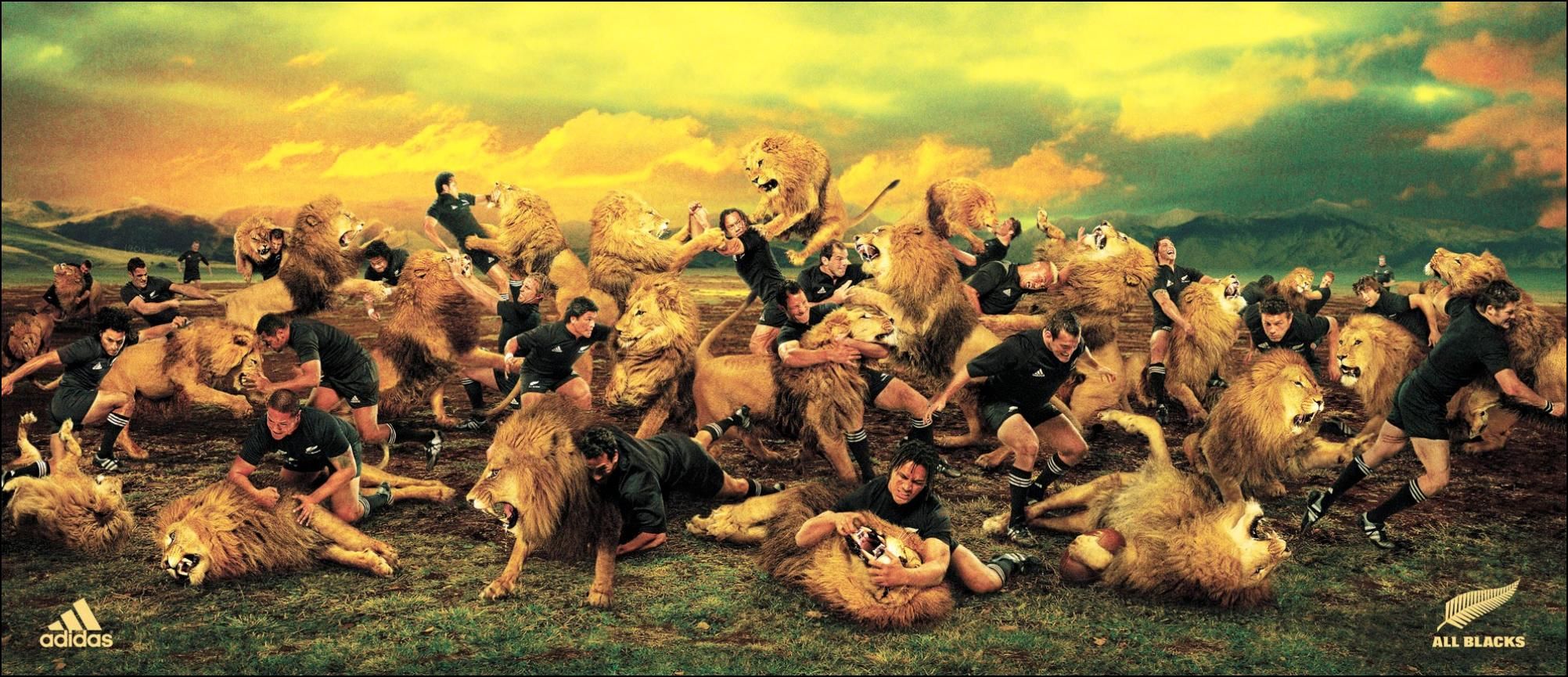 Lions Vs All Blacks